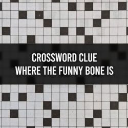 Bad to the bone crossword