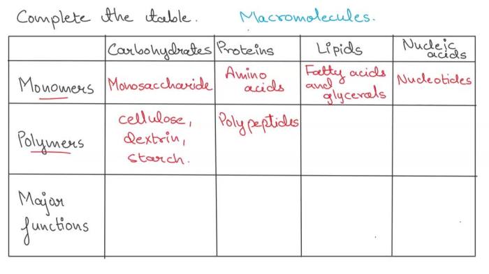 Monomers and polymers worksheet answer key