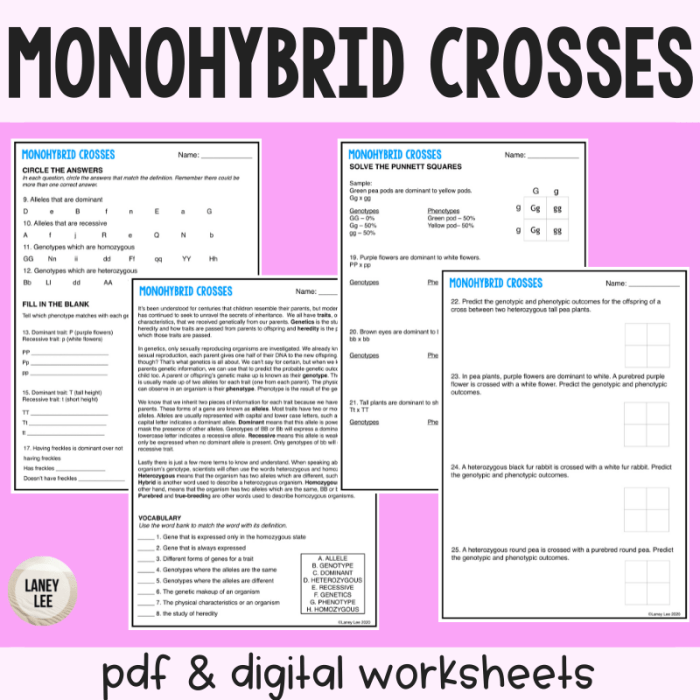 Monohybrid cross problems practice subject biology