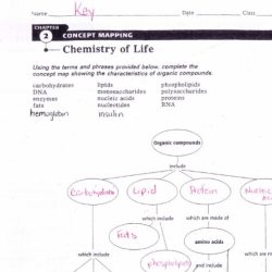 Chemistry of life worksheet 1 answer key