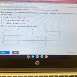 Completely polynomial