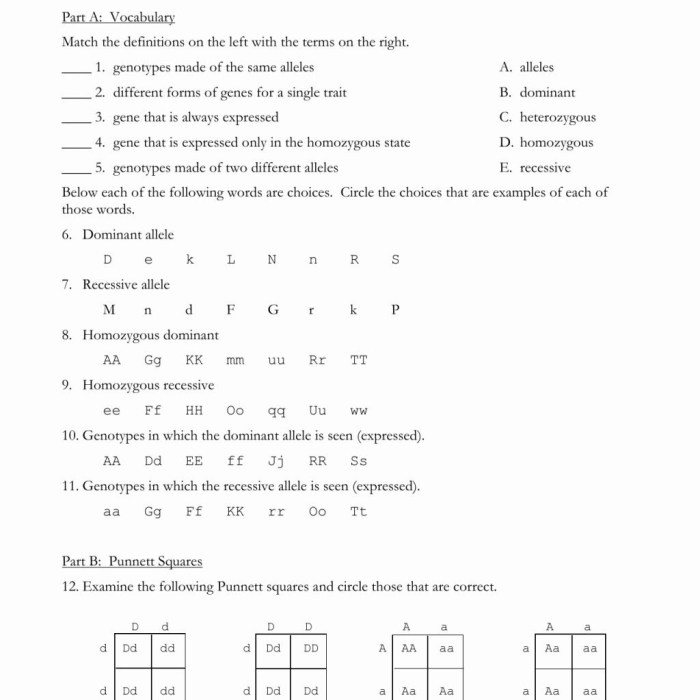 Practice monohybrid crosses answer key