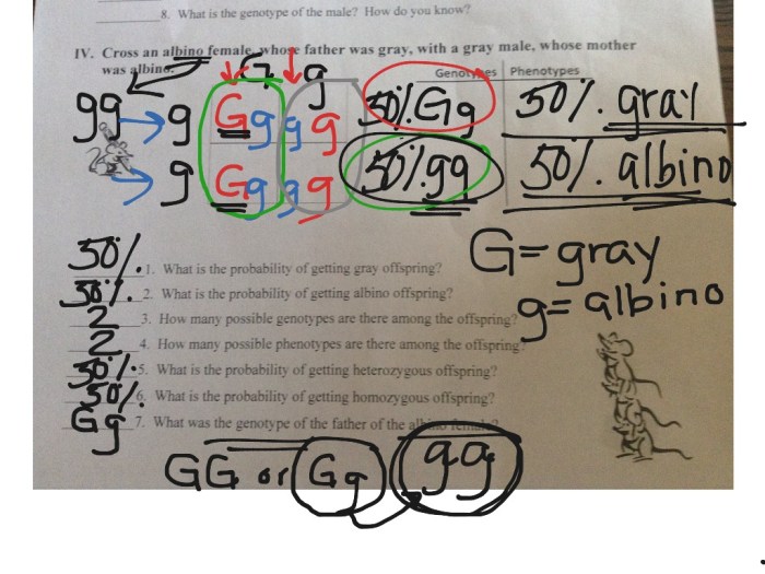 Practice monohybrid crosses answer key