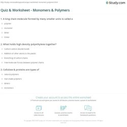 Monomers and polymers worksheet answer key