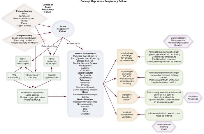 Pulmonary circulation systemic difference between diagram guru both