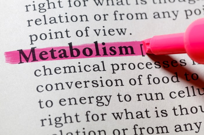 Metabolism boosting