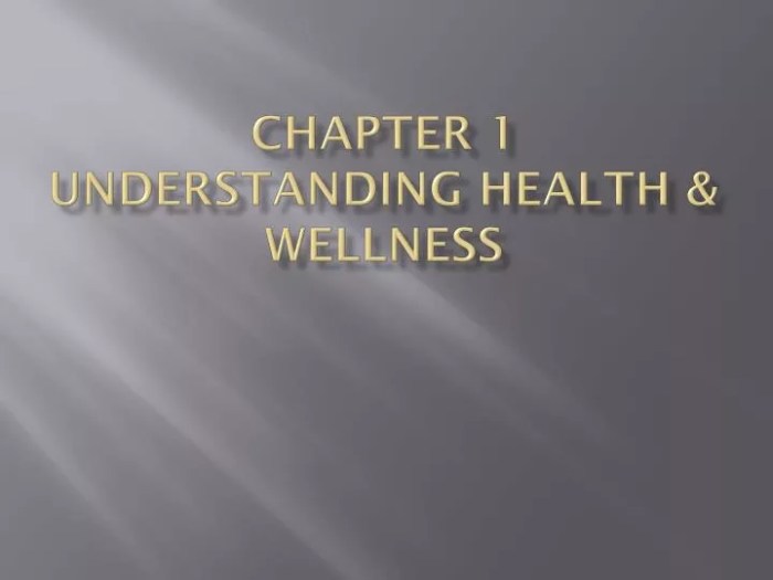 Chapter 1 understanding health and wellness pdf answer key