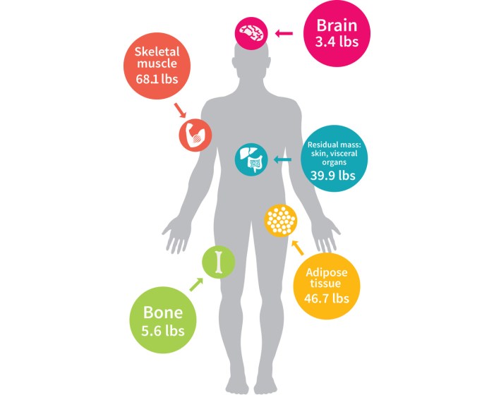 Microorganisms are involved in each of the following processes except