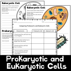 Worksheet on prokaryotic and eukaryotic cells