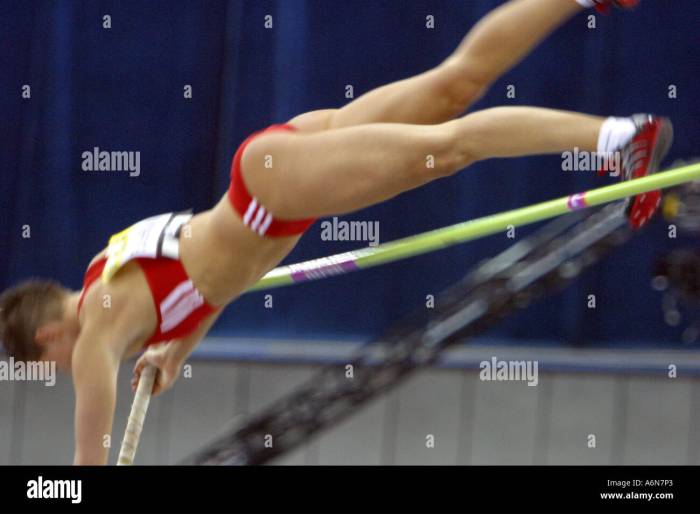 Bar pole vault raising theory game economist tumble continue records why